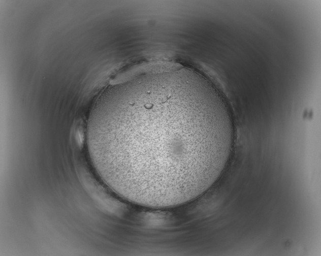 X0000111390069200907241344