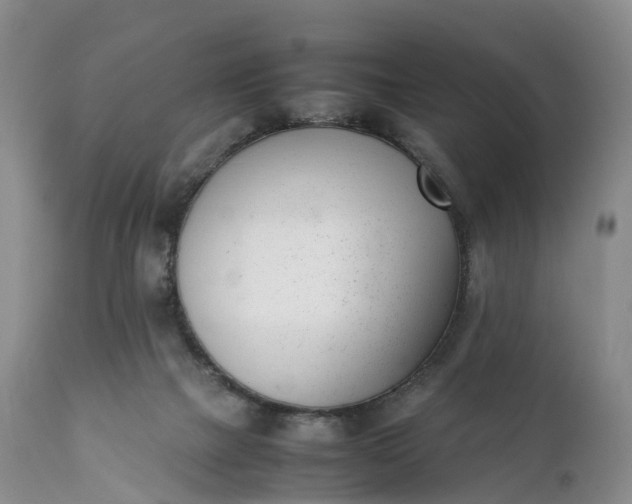 X0000111390073200907241344