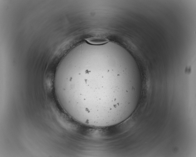 X0000111390074200907241344