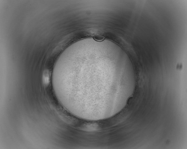 X0000111390075200907241344