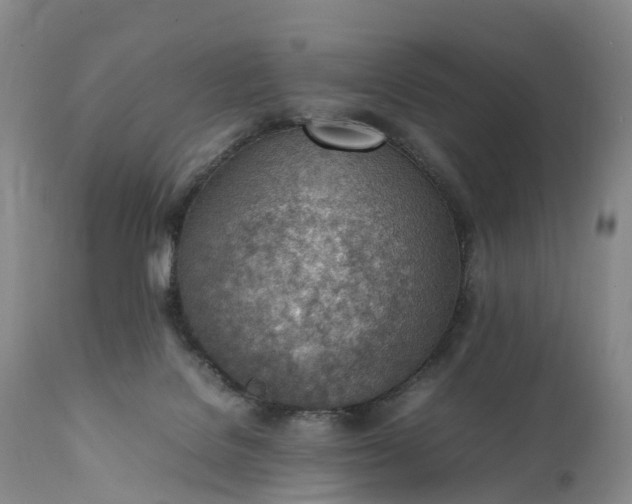 X0000111390076200907241344