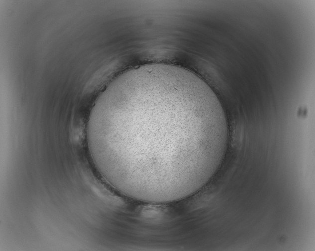 X0000111390077200907241344