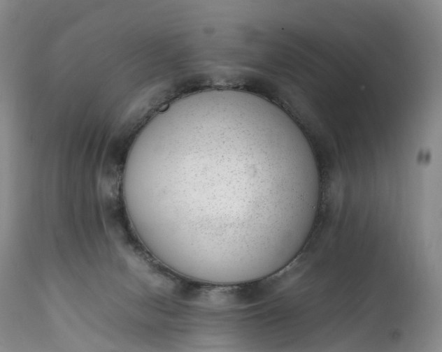 X0000111390078200907241344