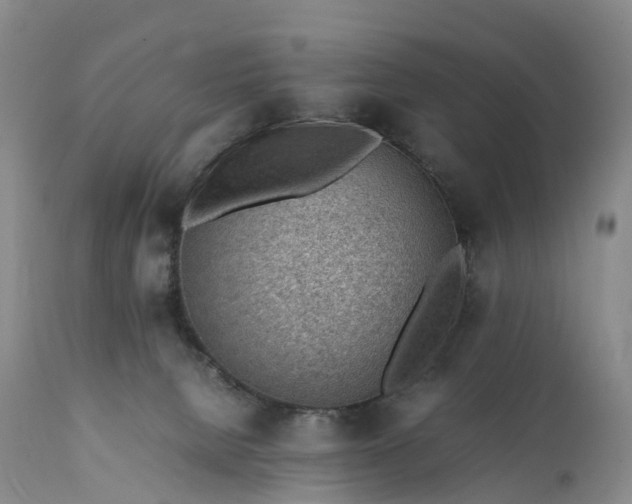 X0000111390080200907241344