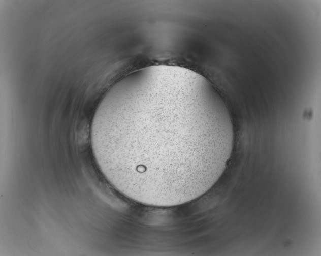 X0000111390081200907241344