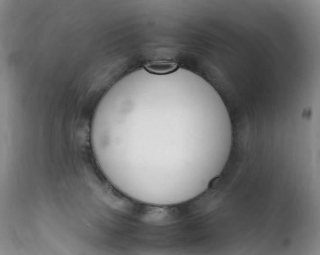 X0000111390083200907241344