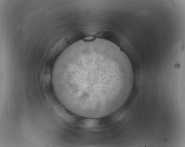 X0000111390085200907241344