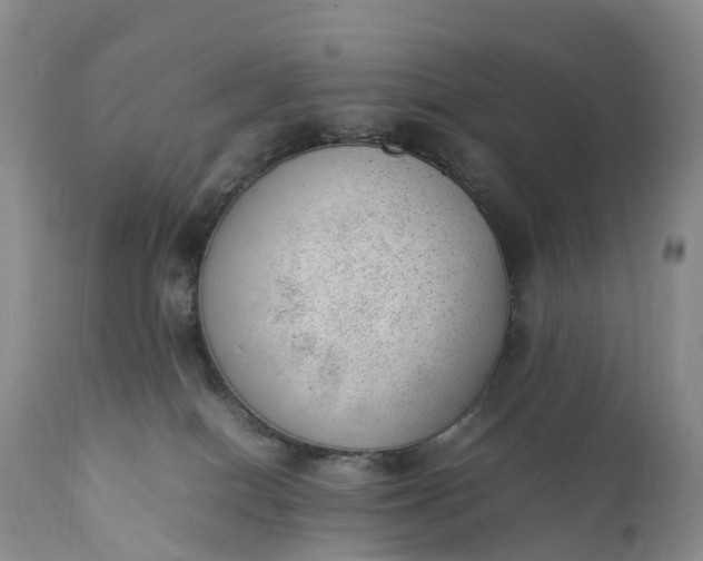 X0000111390086200907241344