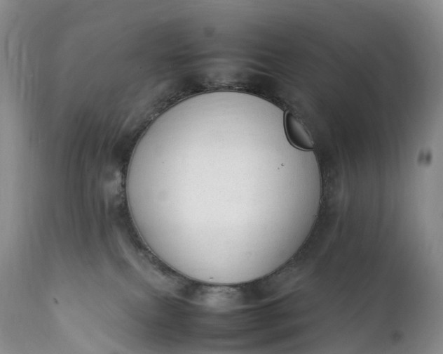 X0000111390087200907241344