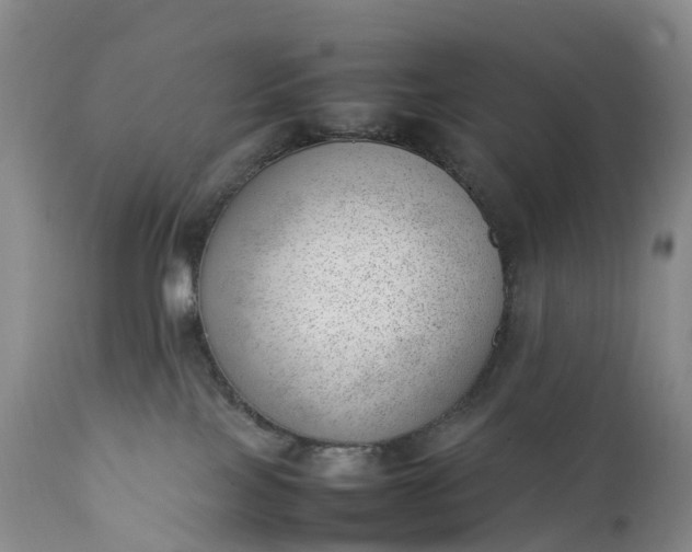 X0000111390089200907241344