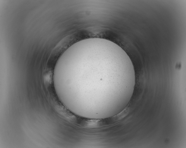 X0000111390090200907241344