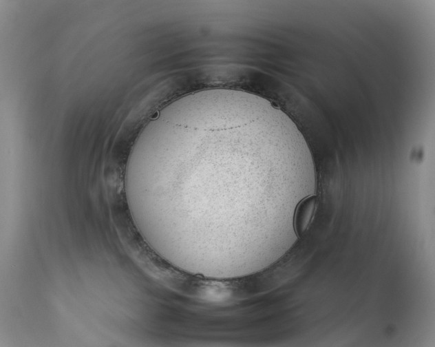 X0000111390091200907241344