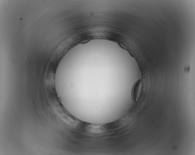 X0000111390093200907241344