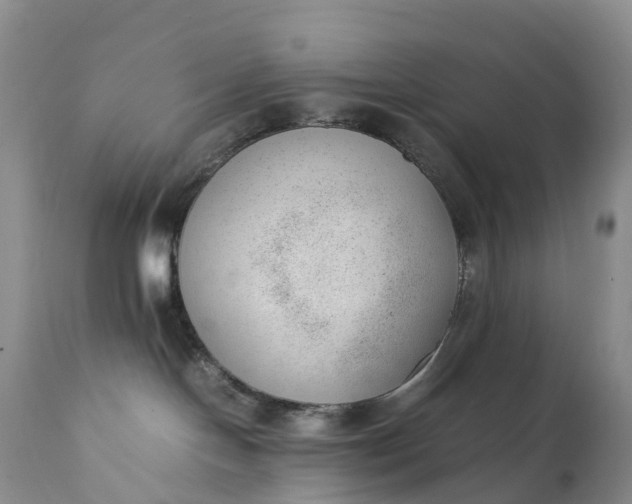 X0000111390094200907241344