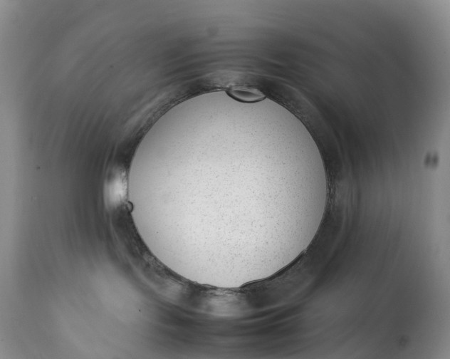 X0000111390095200907241344