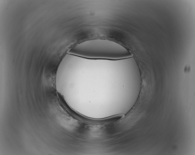 X0000111390096200907241344