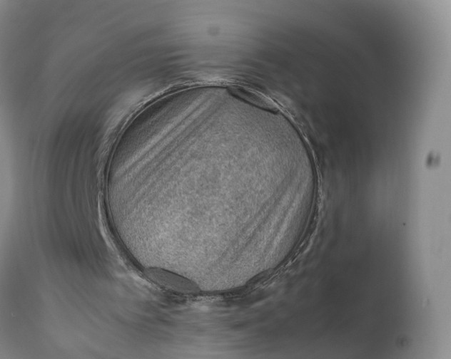 X0000111390097200907241344