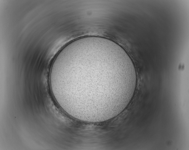 X0000111390098200907241344