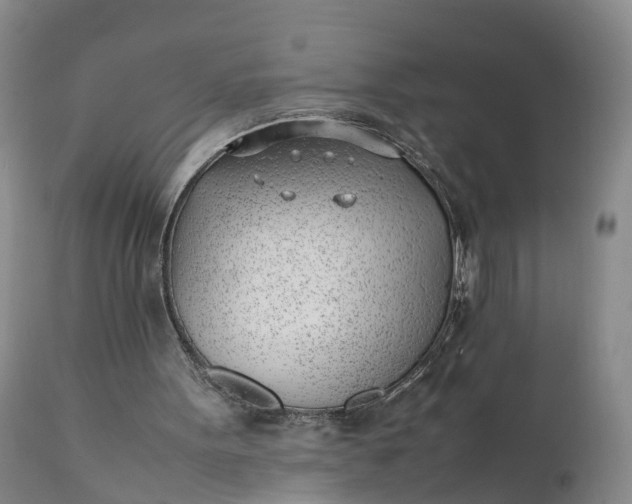 X0000111390099200907241344