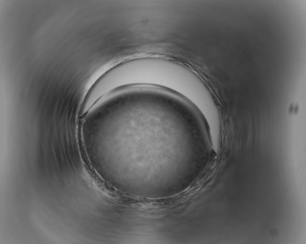 X0000111390100200907241344