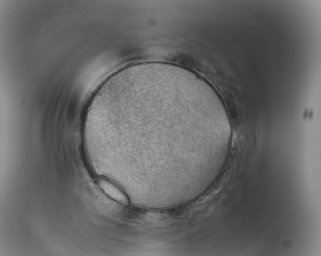 X0000111390101200907241344