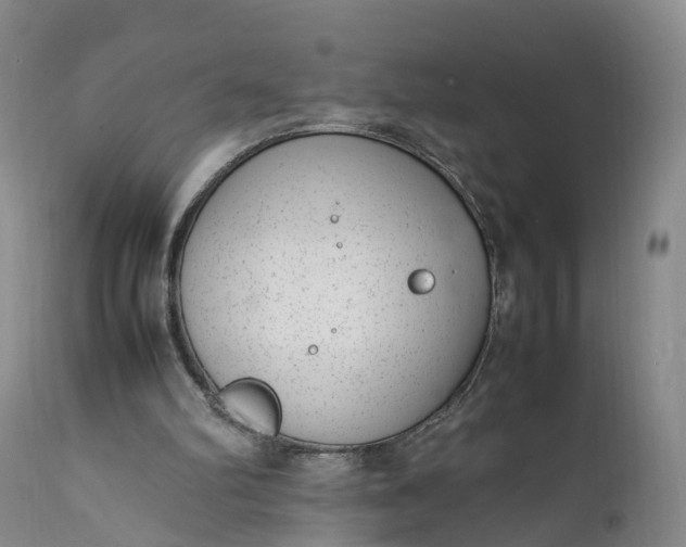 X0000111390102200907241344