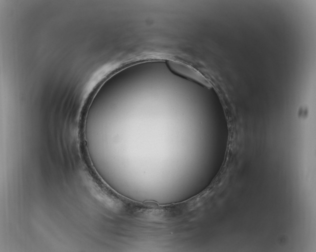 X0000111390104200907241344