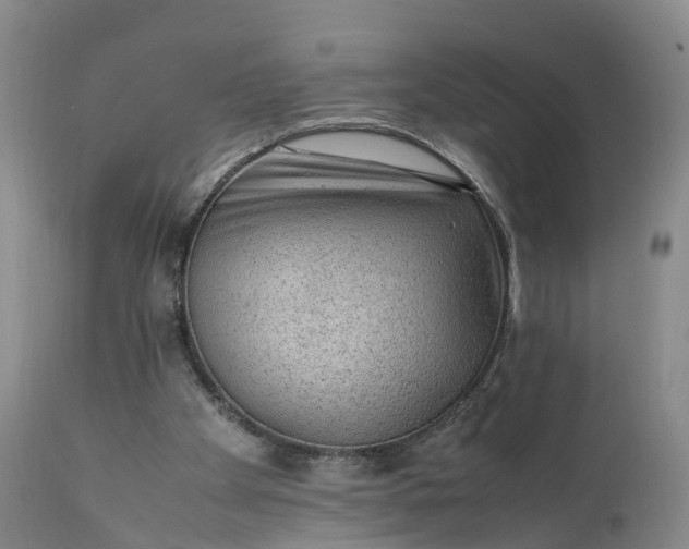 X0000111390105200907241344