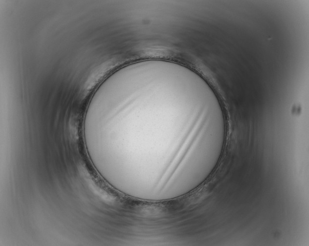 X0000111390106200907241343