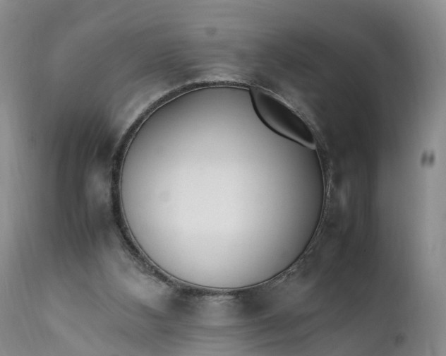 X0000111390108200907241343