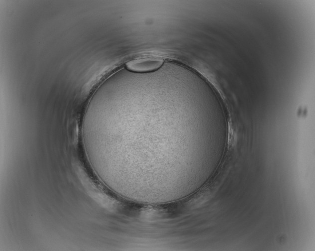 X0000111390109200907241343