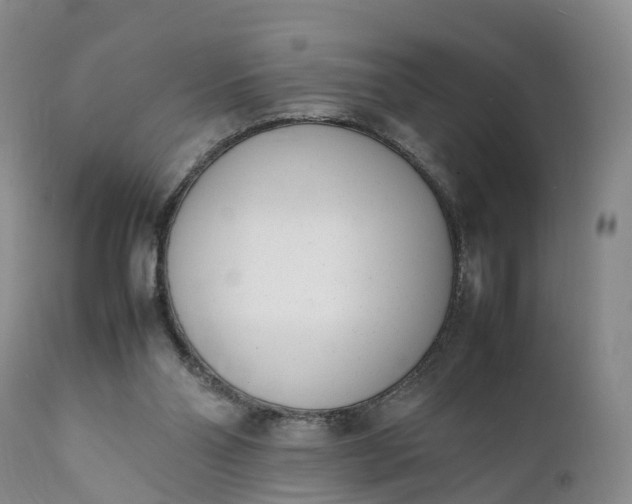 X0000111390110200907241343