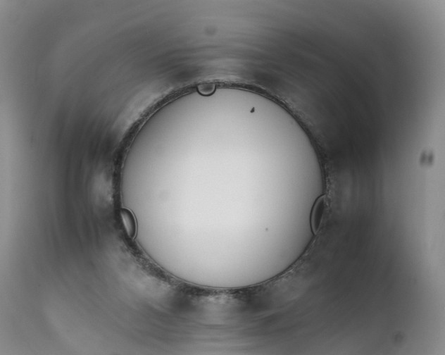 X0000111390112200907241343