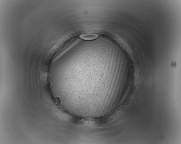 X0000111390113200907241343