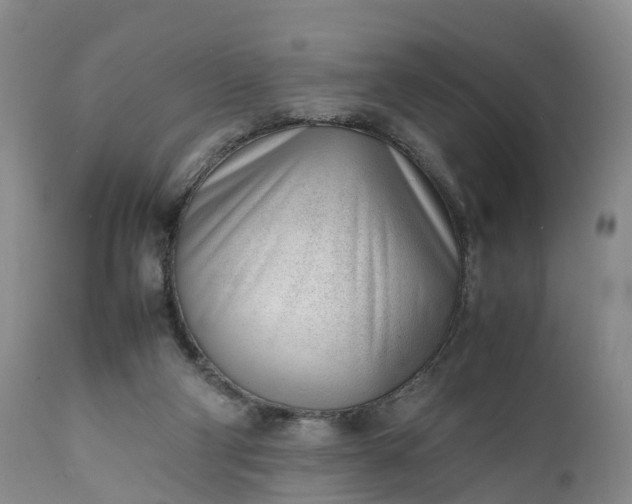 X0000111390114200907241343