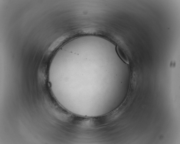 X0000111390116200907241343