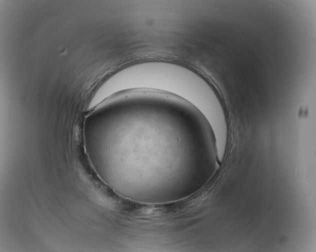 X0000111390117200907241343