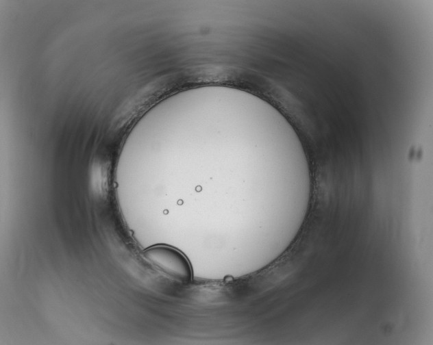 X0000111390118200907241343