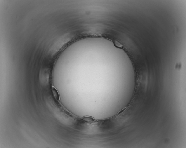 X0000111390120200907241343