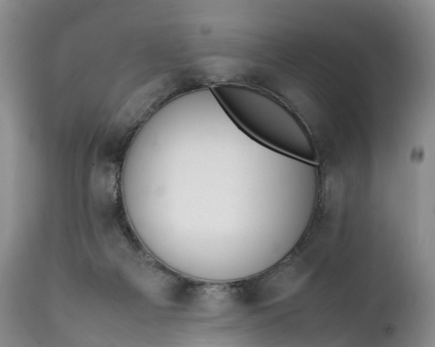 X0000111390121200907241343