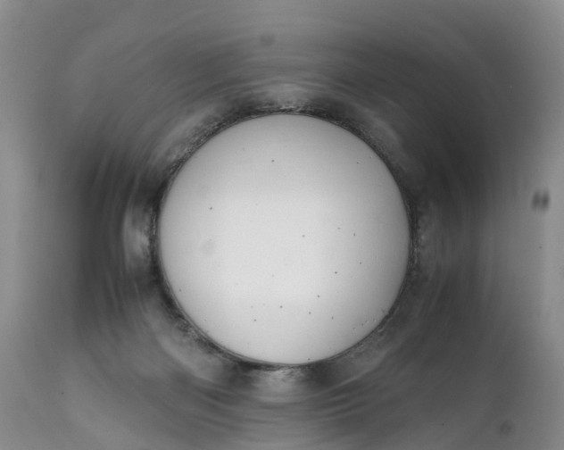 X0000111390122200907241343