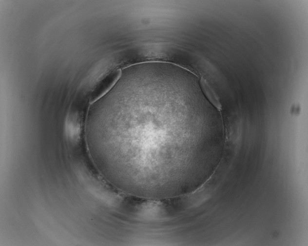 X0000111390124200907241343