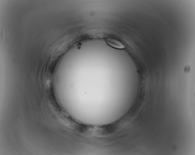 X0000111390125200907241343