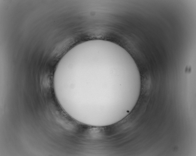 X0000111390126200907241343