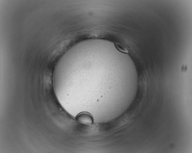 X0000111390127200907241343