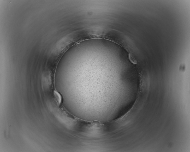 X0000111390128200907241343