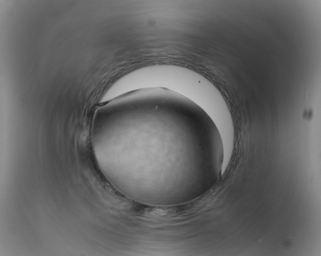 X0000111390129200907241343