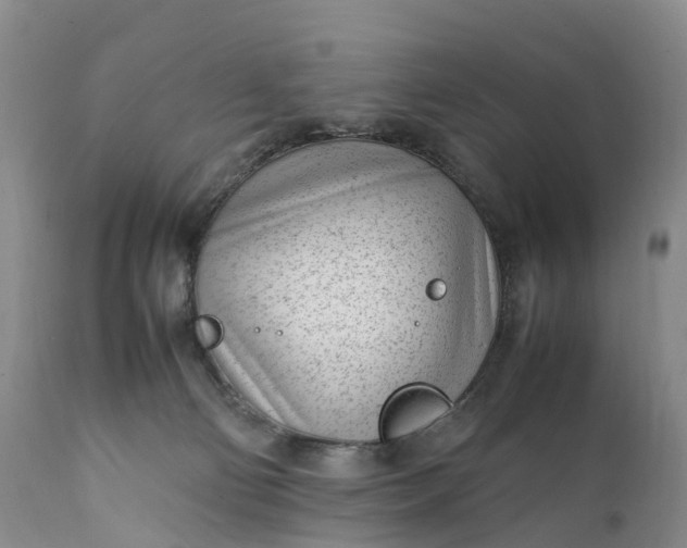 X0000111390130200907241343