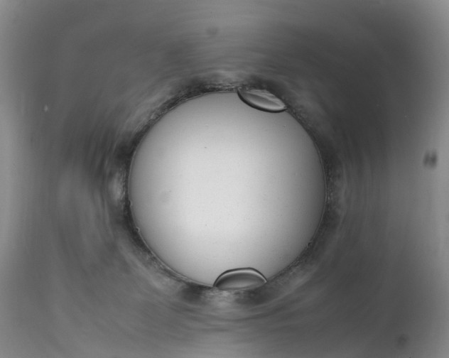 X0000111390131200907241343