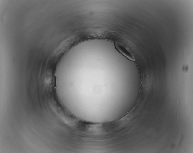 X0000111390132200907241343